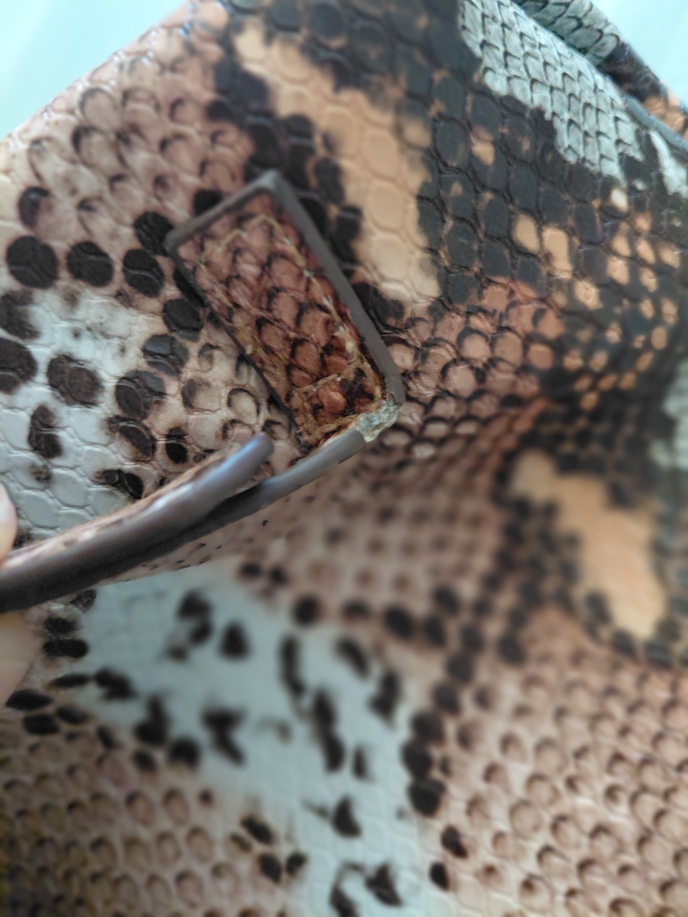 Snake-Print Backpack - Picture 10 of 11